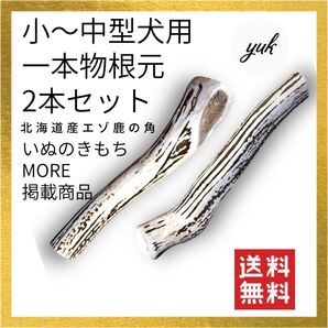 【送料無料】小〜中型犬用 一本物 根元2本セット 鹿の角 犬のおもちゃ 鹿の骨