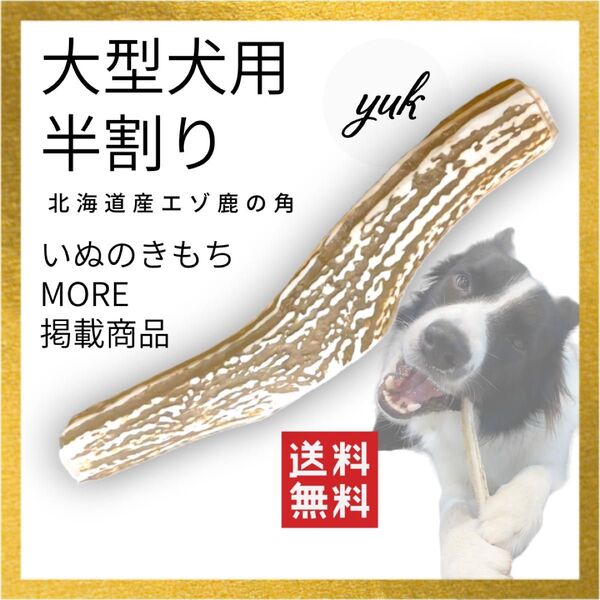 【24時間以内発送】大型犬用 半割り 北海道産エゾ鹿の角 犬のおもちゃ 鹿の骨
