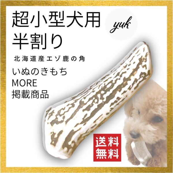 【24時間以内発送】超小型犬用 半割り エゾ鹿の角 犬のおもちゃ 鹿の骨
