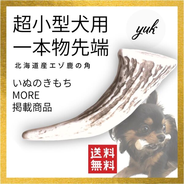 【送料無料】超小型犬用 一本物先端 北海道産エゾ鹿の角 犬のおもちゃ 鹿の骨