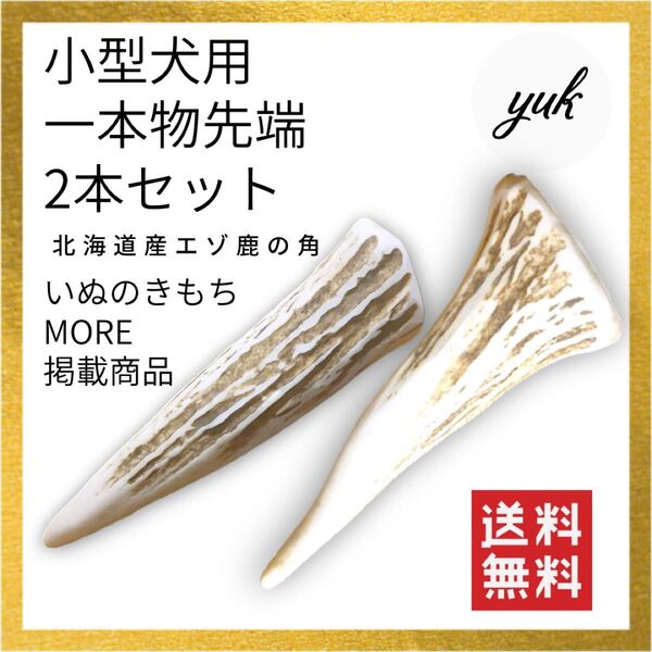 【送料無料】小型犬用 一本物先端2本セット エゾ鹿の角 犬のおもちゃ 鹿の骨