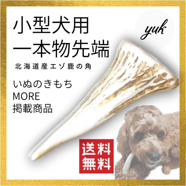 【ラッピング発送】小型犬用 一本物 先端 エゾ鹿の角 犬のおもちゃ 鹿の骨