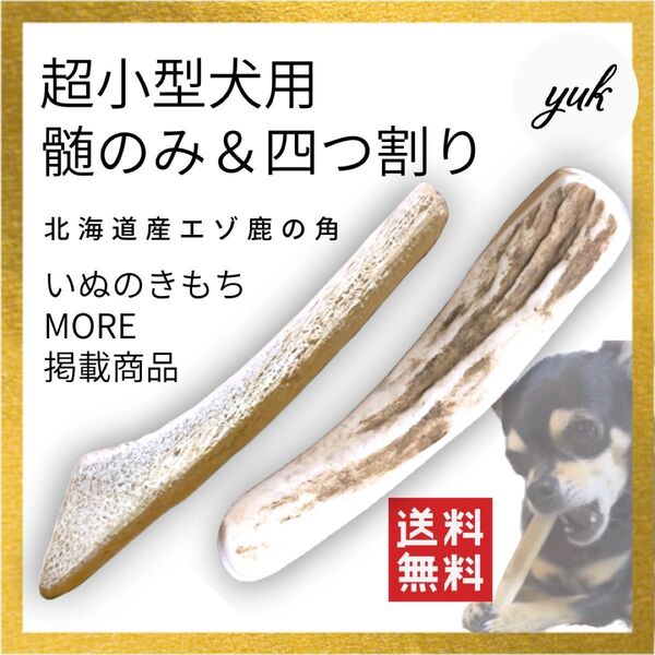 【お試しセット】超小型犬用 髄のみ&四つ割りセット エゾ鹿の角 犬のおもちゃ 鹿の骨