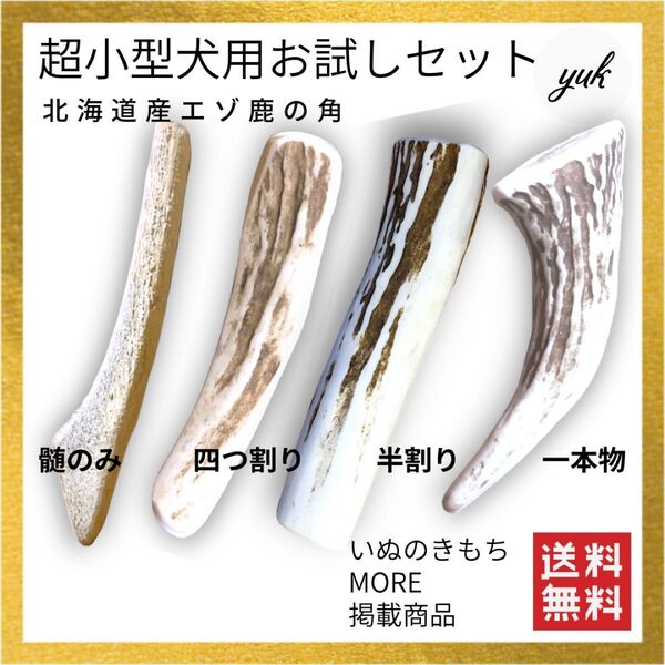 【迷ったらこちら】超小型犬用 お試し4本セット 髄のみ&四つ割り&半割り&一本物先端 犬のおもちゃ 鹿の骨 鹿の角 鹿肉