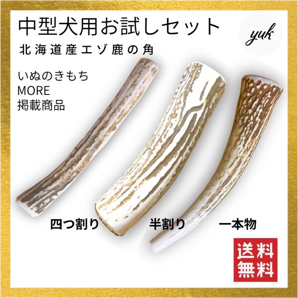 【色んな形状をお試し】中型犬用お試し3本セット 四つ割り&半割り&一本物 鹿の角 鹿の骨