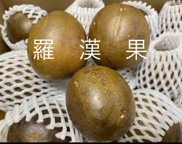 乾燥羅漢果11個 ラカンカ 甘味料 薬膳 漢方 ハーブティー 東方神果