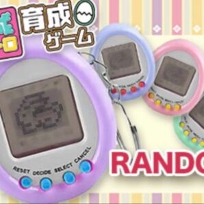 平成レトロ育成ゲーム バラ売り
