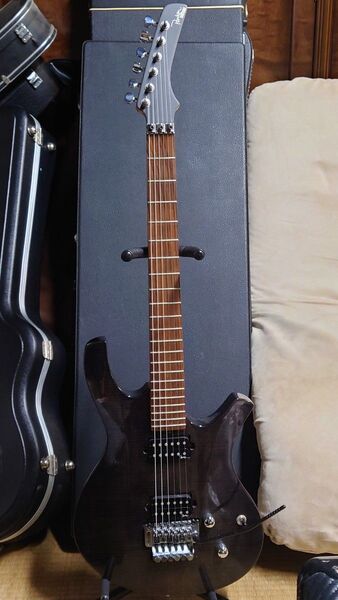 Parker Guitar フロイドローズタイプブリッジ 社外ギグバッグ