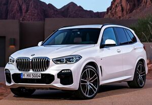 ★BMW G05 2018~ X5用リアルカーボンピラー10点セット/X5M/X3M/M40/M35/X5/X6/X3/ビーエム/Mスポ/傷隠し/センターピラーパネル/綾織カーボ