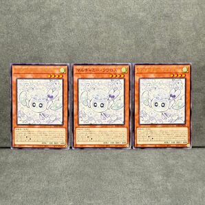 遊戯王 マルチャミー フワロス 3枚セット
