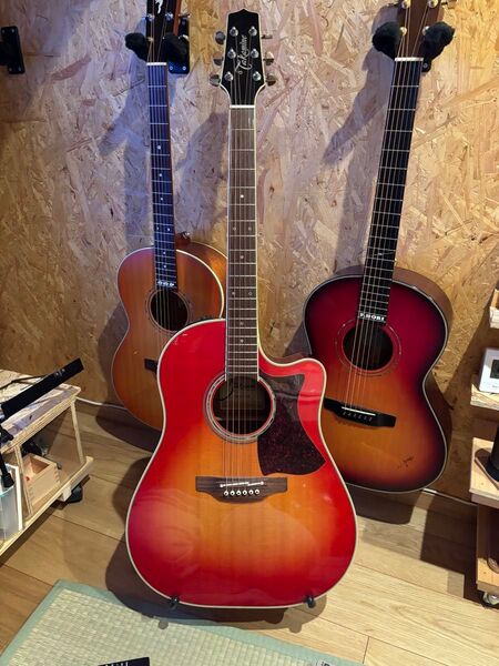 別製 TAKAMINE ( タカミネ ) TDP861C CYS