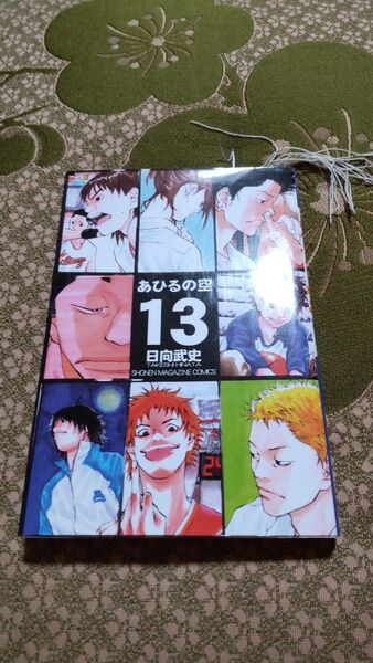 あひるの空 13 (週刊少年マガジンKC) 日向 武史 著