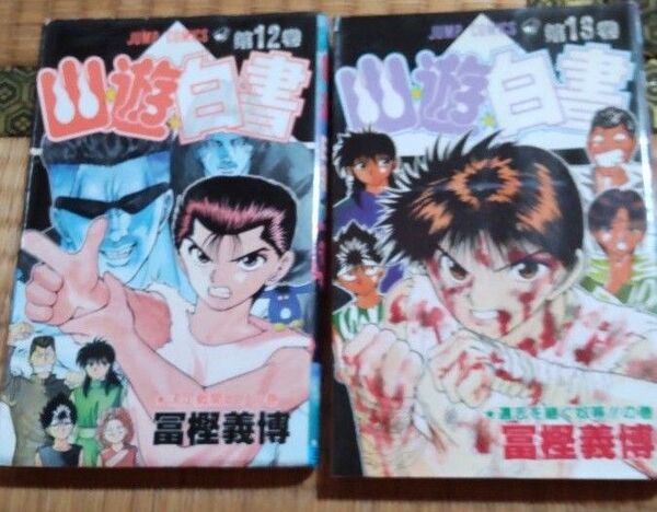 幽遊白書12 13