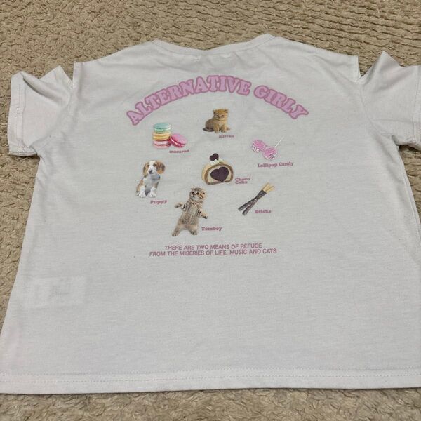 アルジー Tシャツ