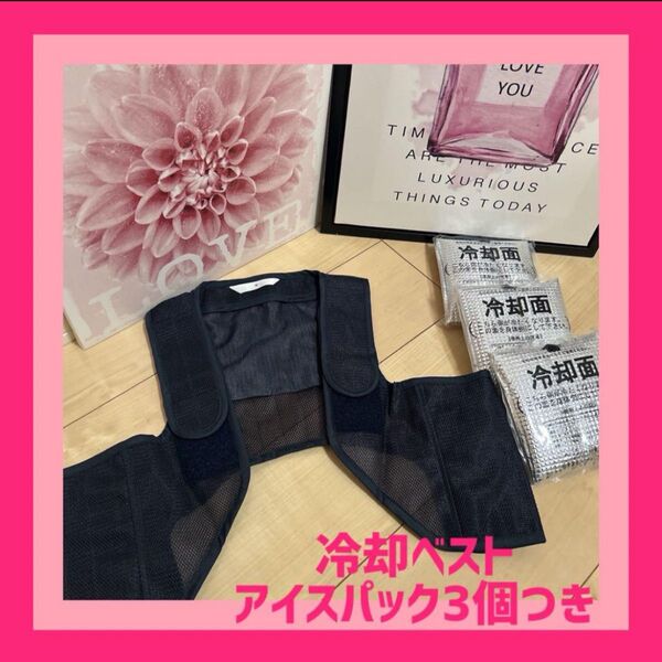 【即日発送】新品 日本製 冷却ベスト アイスパック3個付き Lサイズ