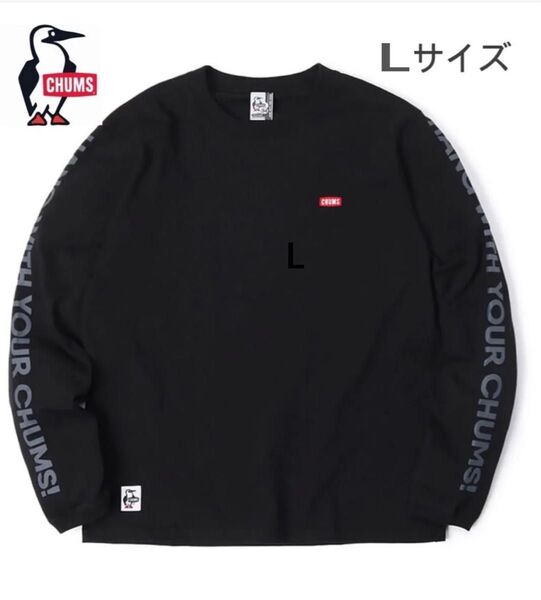 新品タグ付き CHUMS チャムス HWYCロングスリーブTシャツ Lサイズ②
