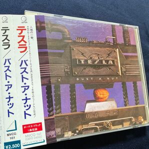バストアナット/テスラ