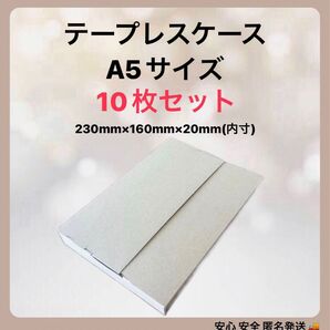 【10枚セット】テープレスケース A5サイズ