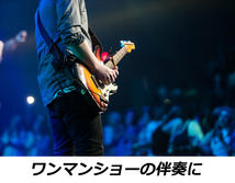 YTS-067　スプートニクスカラオケ　フィーリングス　試聴OK　コード譜閲覧可　The Spotnicks　FEELINGS　_画像6