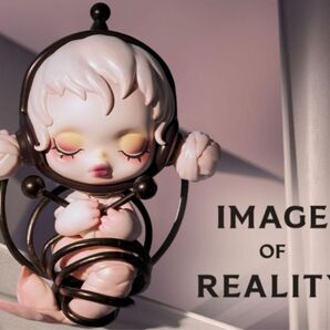 SKULLPANDA スカルパンダImage Of Reality シリーズ フィギュア