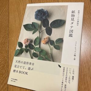 『鉱物見タテ図鑑 鉱物アソビの博物学』 (P-Vine Books) フジイキョウコ/編・著