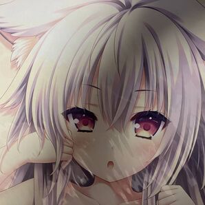 新品 Lump of Sugar 2024 キャンペーンSP 特典 限定色紙 若葉色のカルテット アイ 描き下ろし 萌木原ふみたけ