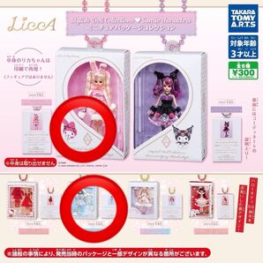 リカちゃんパッケージコレクション2点シナモンマイメロディー