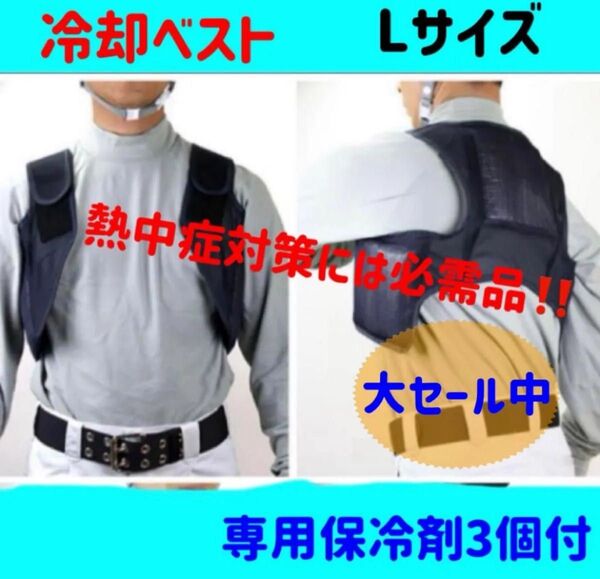 新品未使用 熱中対策 保冷剤ベスト 冷却ベスト アイスパック3個付 Lサイズ