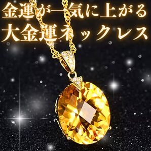 大金運ネックレス 財運 仕事運 宝くじ高額当選 商売繁盛 ギャンブル運 開運 幸運 ビジネス成功 くじ運 チケット運 一攫千金護符
