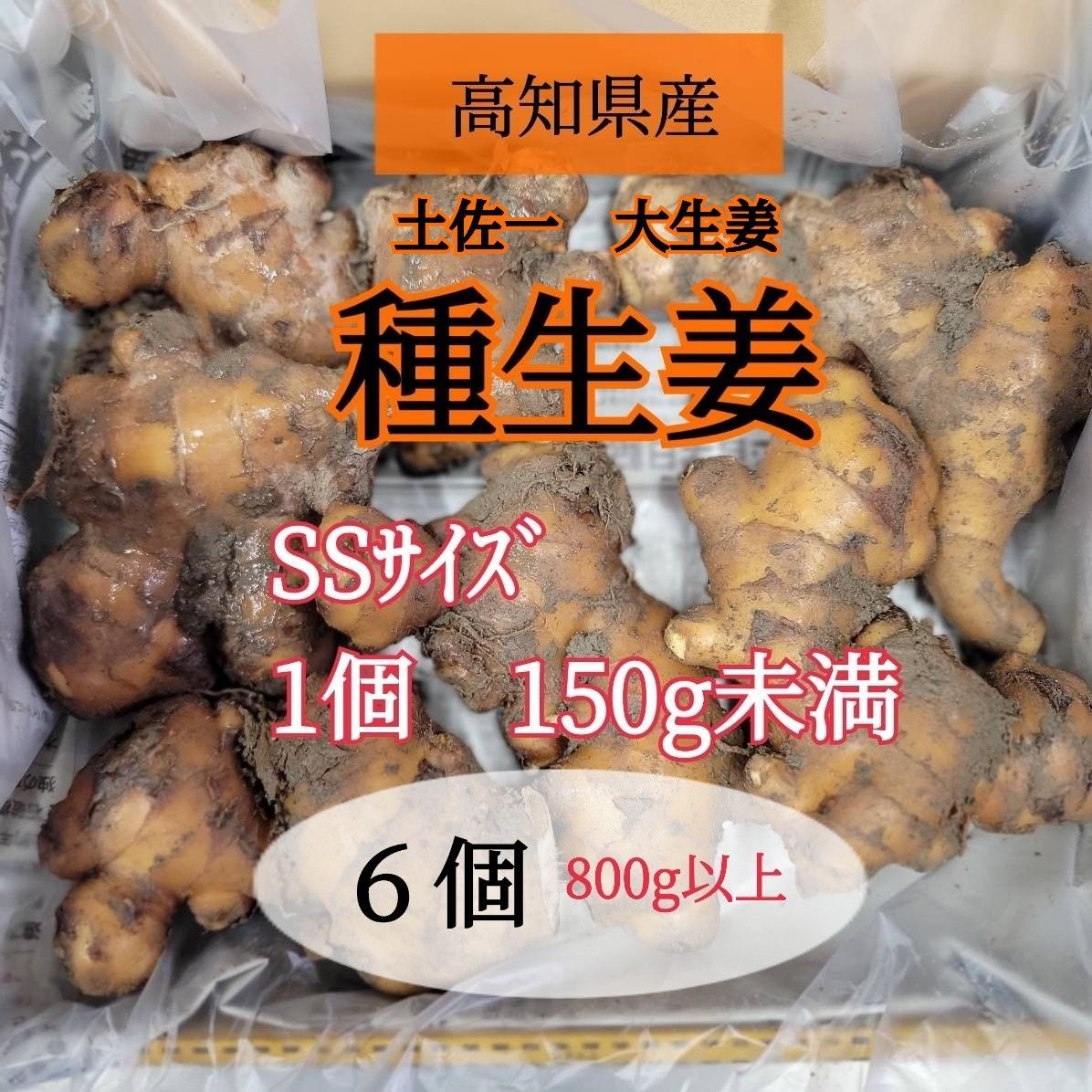 千葉県産 近江生姜 種生姜 1kg 大生姜|Yahoo!フリマ(旧PayPay 千葉県産 近江生姜 種生姜 1kg 大生姜|Yahoo!フリマ(旧PayPay