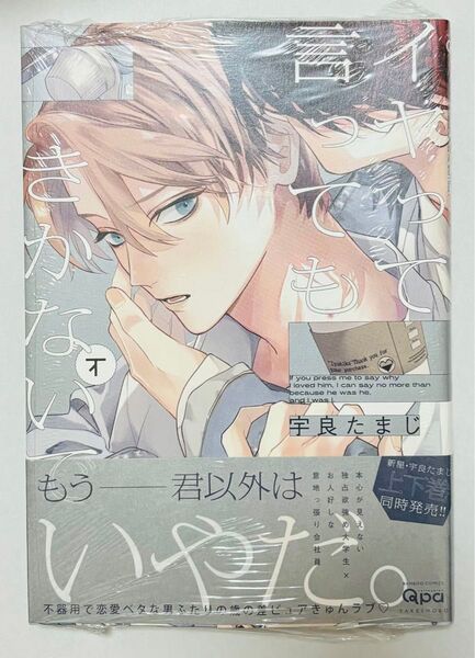 イヤって言ってもきかないでど 下巻 宇良たまじ