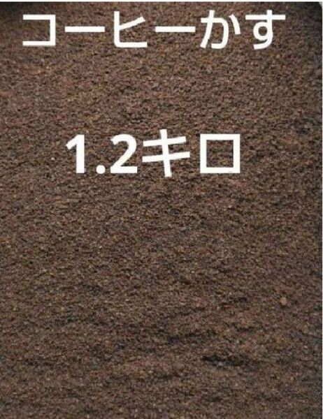 コーヒーかす1.2キロ
