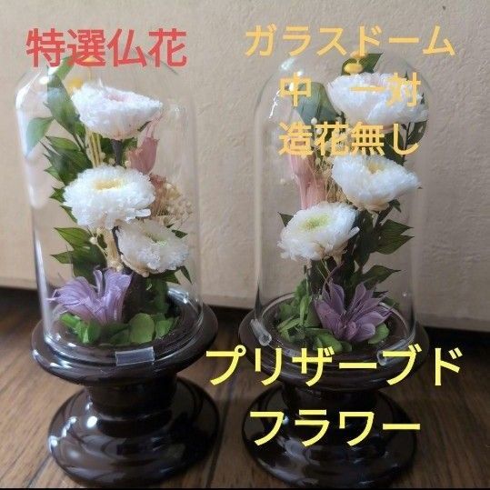 特選仏花 お供え花 ガラスドーム 中 一対 造花無し プリザーブドフラワー