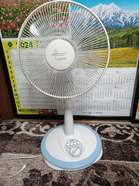 30センチリビング扇風機 2010年製