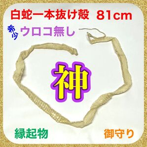 御守り 蛇 白蛇抜け殻 脱皮 一本抜け殻 神 希少