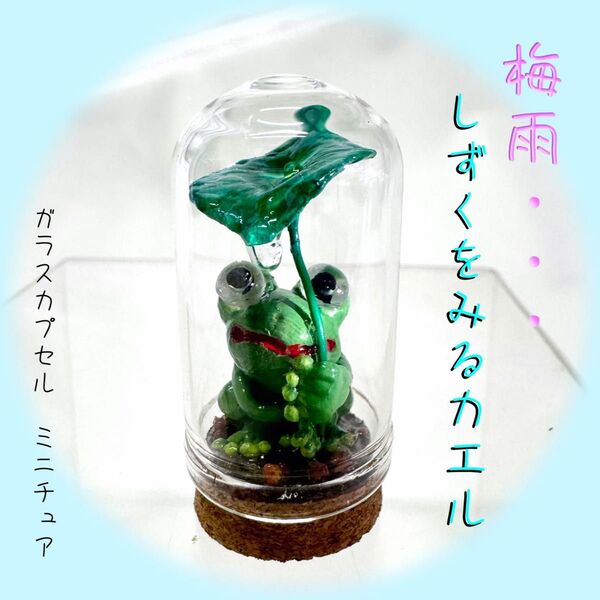 梅雨 カエル 蓮の葉 雫 ガラスドーム ミニチュア クラフト 3D