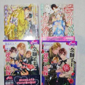 BL小説4冊セット