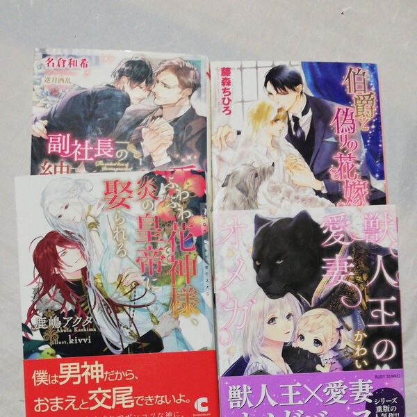 BL小説4冊セット