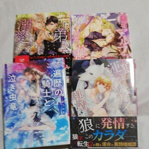 BL小説4冊セット