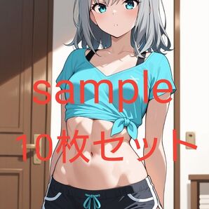 ブルーアーカイブ ブルアカ 砂狼シロコ ブロマイド10枚セット A
