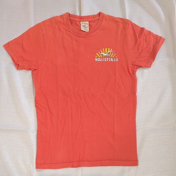 ポリスター Hollister Tシャツ