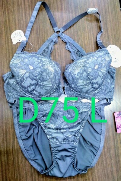 ブラジャーショーツセット D75 L