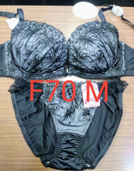 ブラジャーショーツセット F70 M