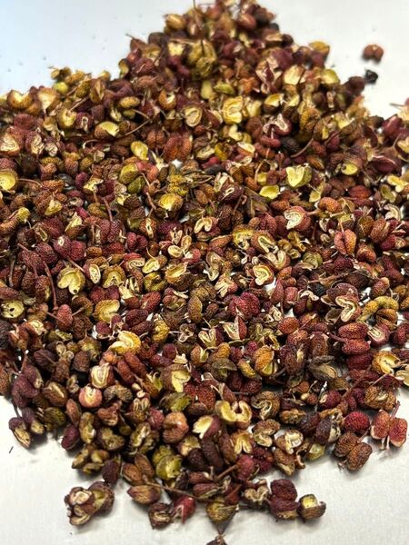 京都産 乾燥赤山椒 実山椒 10g