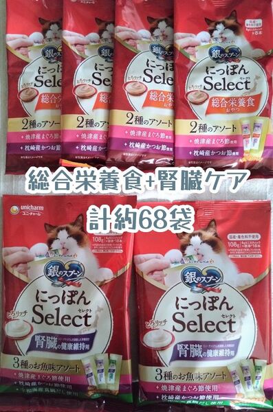 銀のスプーン三ツ星グルメ とろリッチ総合栄養食+腎臓ケア 計約68本★猫のおやつ