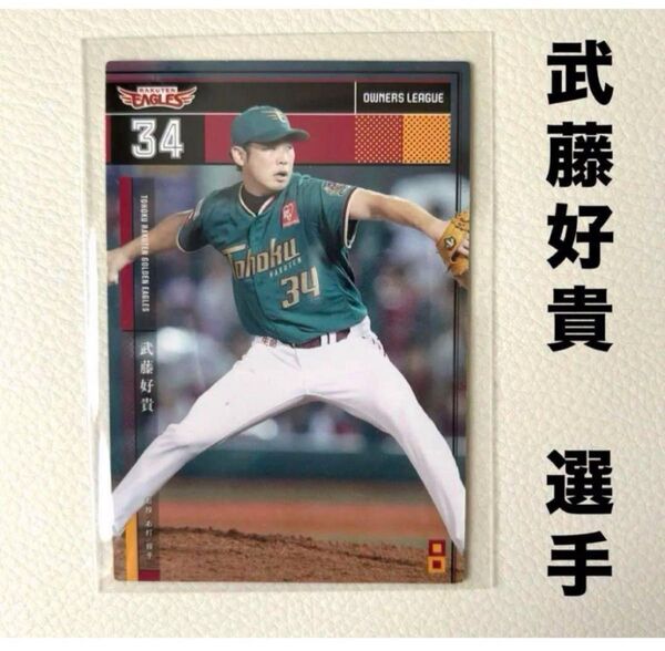 東北楽天ゴールデンイーグルス 武藤好貴 プロ野球オーナーズリーグ2015