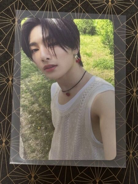 straykids MAXIDENT アイエン I.N. トレカ