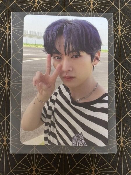 straykids MAXIDENT リノ トレカ