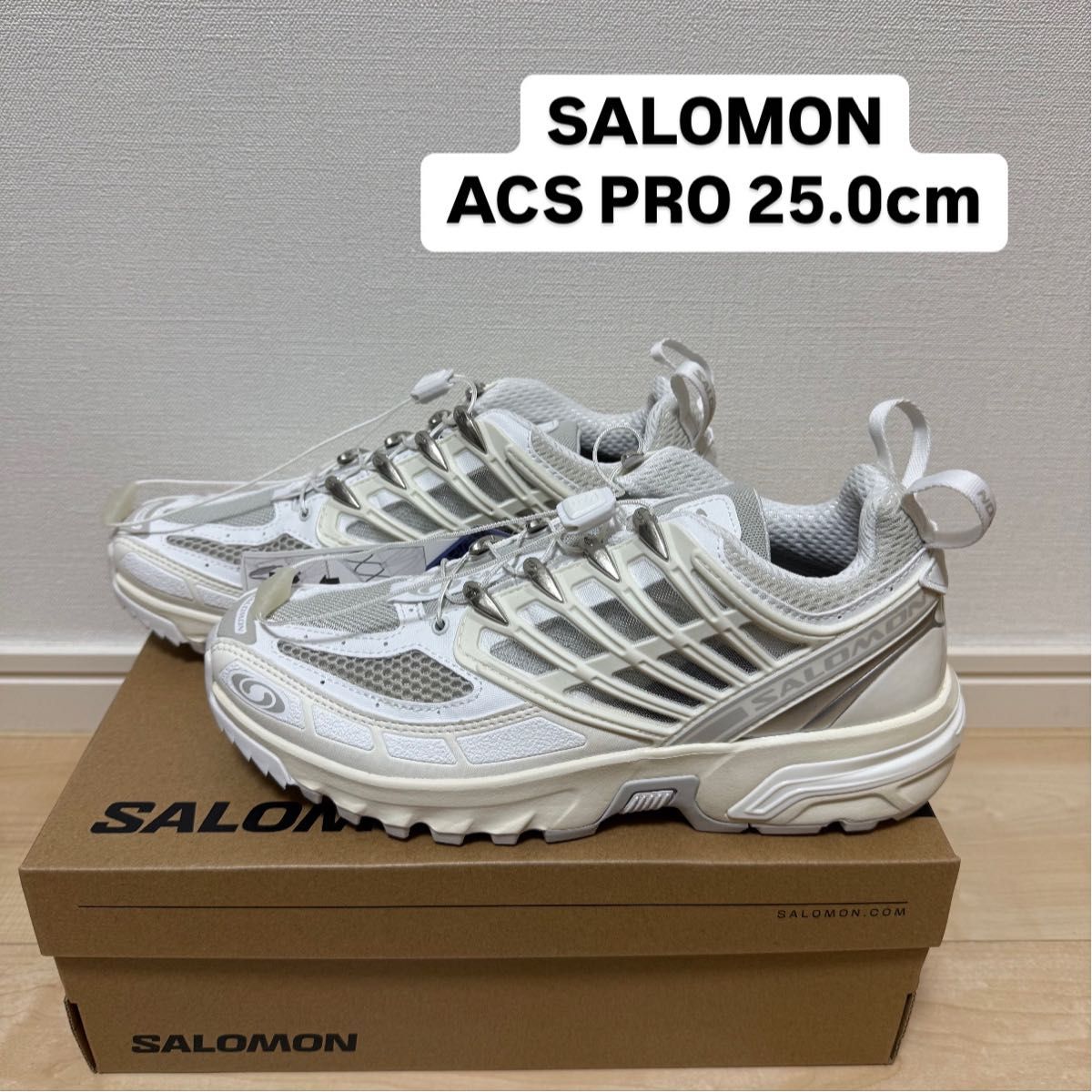 28 5㎝ 新品 Salomon ACS + CSWP atmos別注 Brown サロモン 28 5㎝ 新品 Salomon ACS + CSWP atmos別注 Brown サロモン