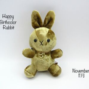 Happy Birthcolor Rabbit November 11月 ハッピーバースカラーラビット ローズ
